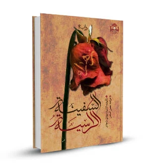 السفينة الراسية